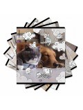 Тетрадь ОУ ErichKrause Dream Cat А5+ 48л клетка (блок 5 шт.)