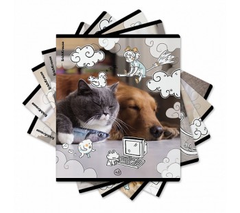 Тетрадь ОУ ErichKrause Dream Cat А5+ 48л клетка (блок 5 шт.)