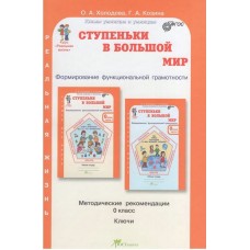 Ступеньки в большой мир. Формирование функциональной грамотности. 0 класс. Методические рекомендации