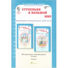 Ступеньки в большой мир. Формирование функциональной грамотности. 3 класс. Методические рекомендации