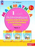 Развивающие самостоятельные и контрольные работы. 1 класс. В 3 частях. Часть 1
