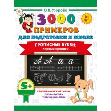 Прописные буквы: первые прописи