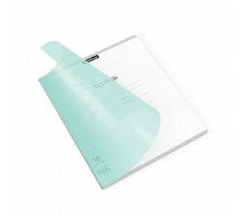 Тетрадь ШУ с пластиковой обложкой ErichKrause Классика CoverPrоPastel,мятный,А5+,18л, линейка