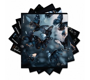 Тетрадь ОУ ErichKrause  Glass Butterflies 48л клетка, матовая ламинация (блок 5 шт)