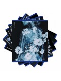 Тетрадь ОУ ErichKrause Flower Ray 48л клетка, металлизированный голографический картон (блок 5 шт)