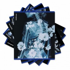 Тетрадь ОУ ErichKrause Flower Ray 48л клетка, металлизированный голографический картон (блок 5 шт)