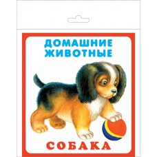 Новые наглядные пособия
