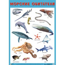 Морские обитатели. Плакат. 500x690 мм