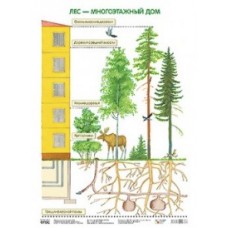 Лес - многоэтажный дом. Плакат. 500x690 мм