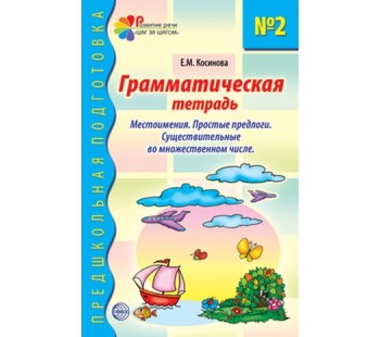 Предшкольная подготовка. Грамматическая тетрадь №2. Предшкольная подготовка. Местоимения