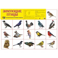 Зимующие птицы. Демонстрационный плакат. Формат А2